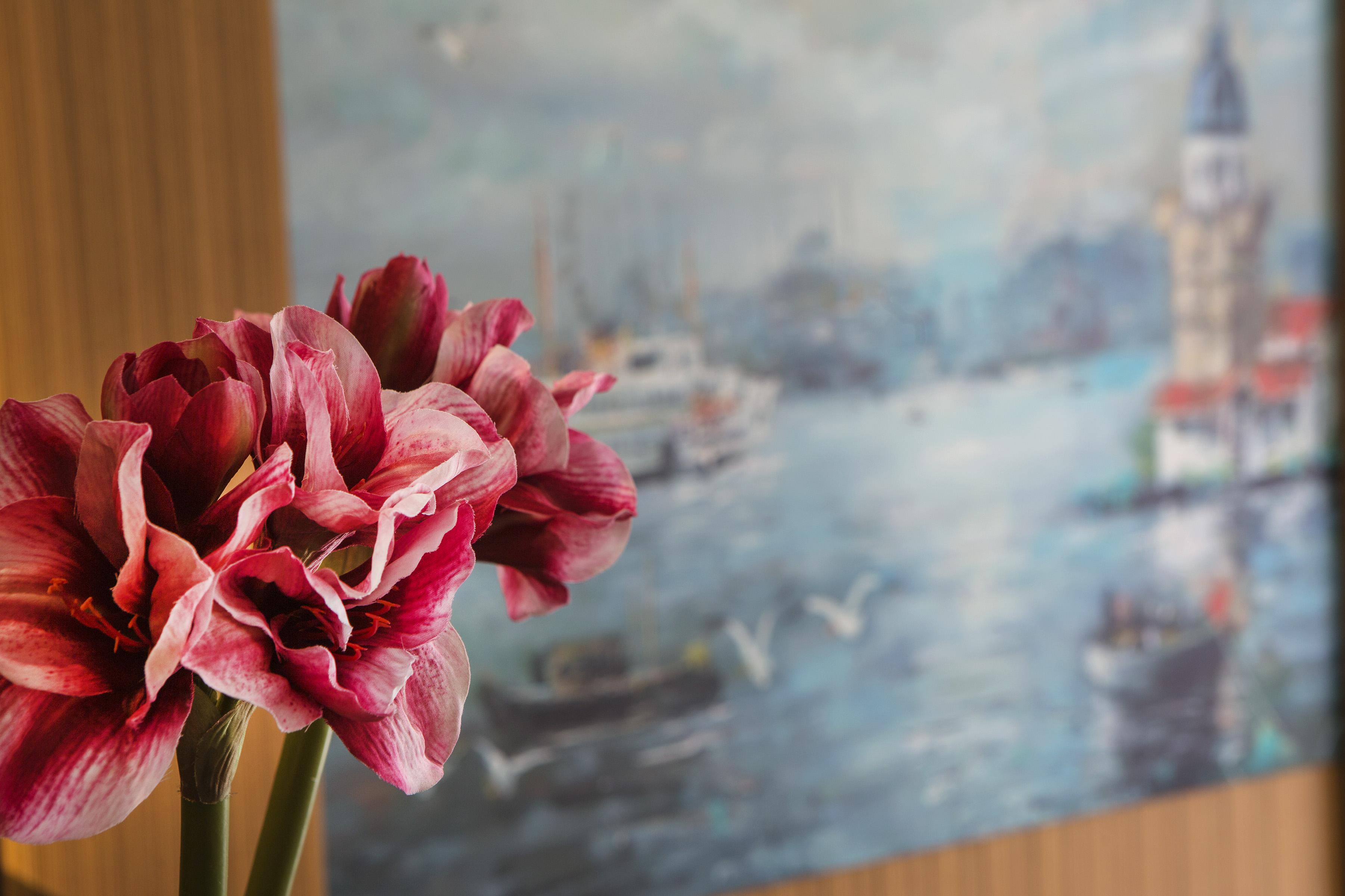 Obelisk Hotel & Suites Istanbul Ngoại thất bức ảnh